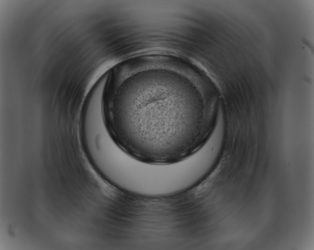 X0000093211418200710031411
