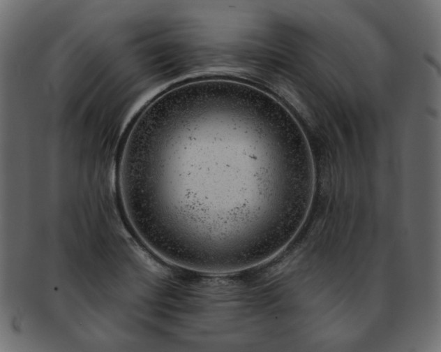 X0000093211420200710031411
