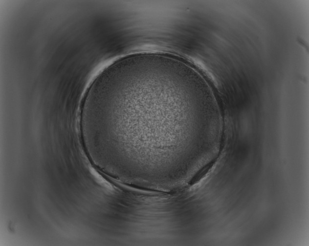 X0000093211421200710031411