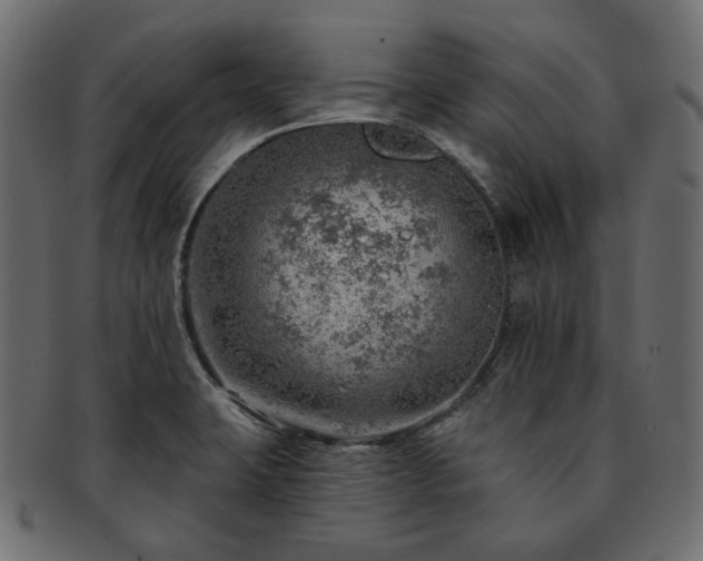 X0000093211423200710031411