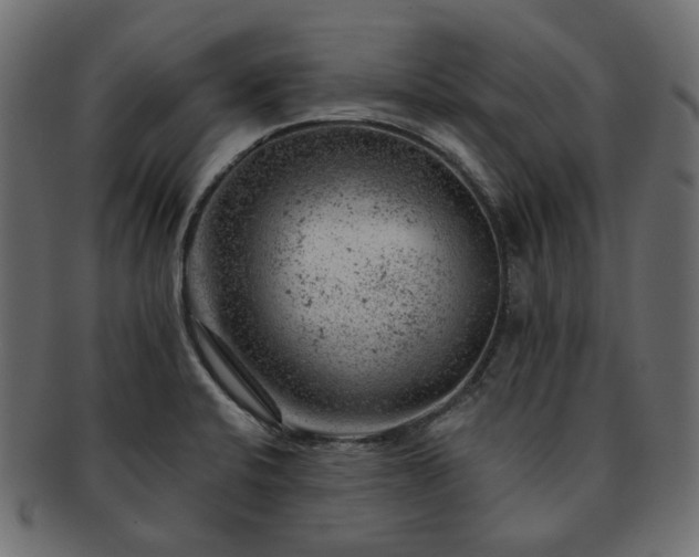 X0000093211424200710031411