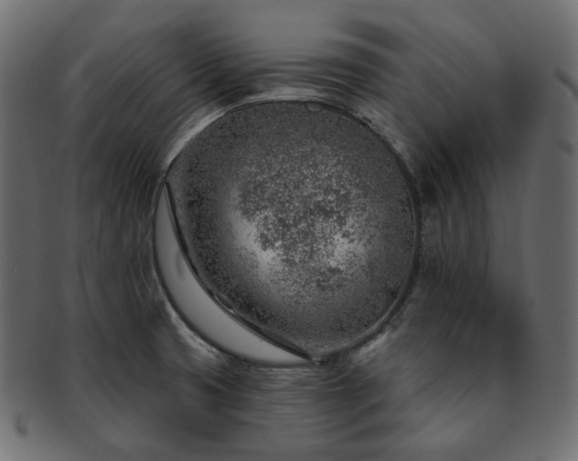 X0000093211425200710031411