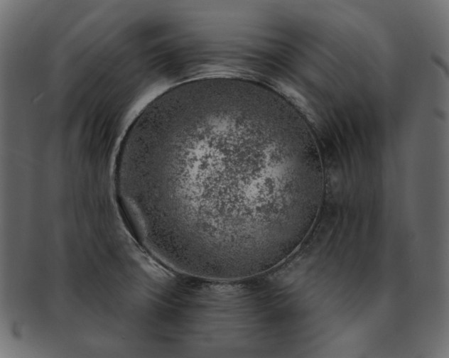 X0000093211427200710031411