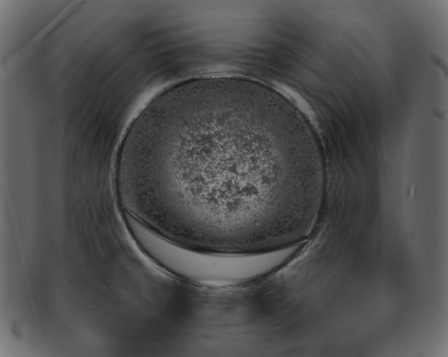 X0000093211429200710031412