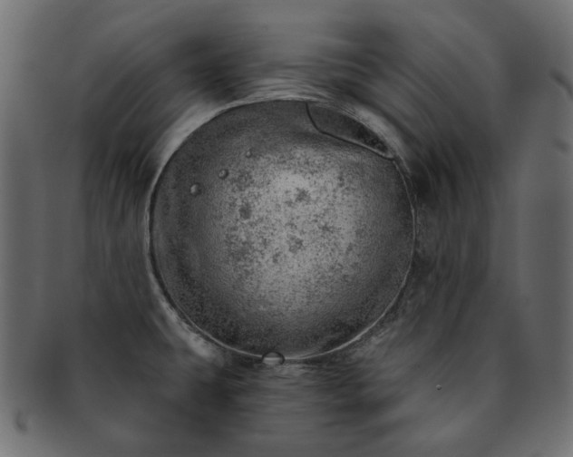 X0000093211431200710031412