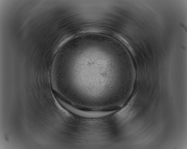 X0000093211433200710031412