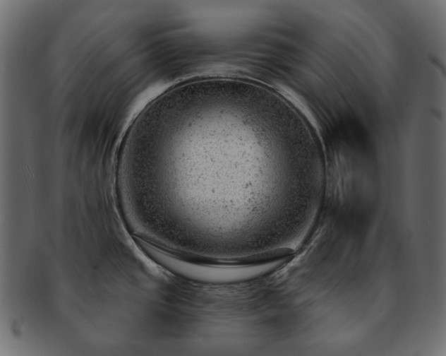 X0000093211437200710031412