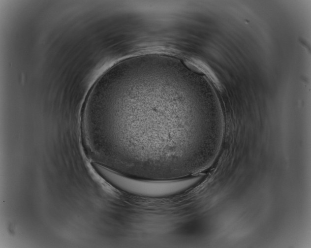 X0000093211439200710031412