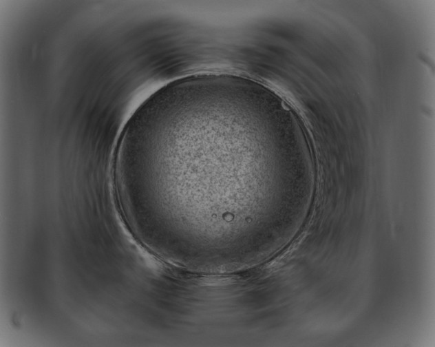 X0000093211440200710031412