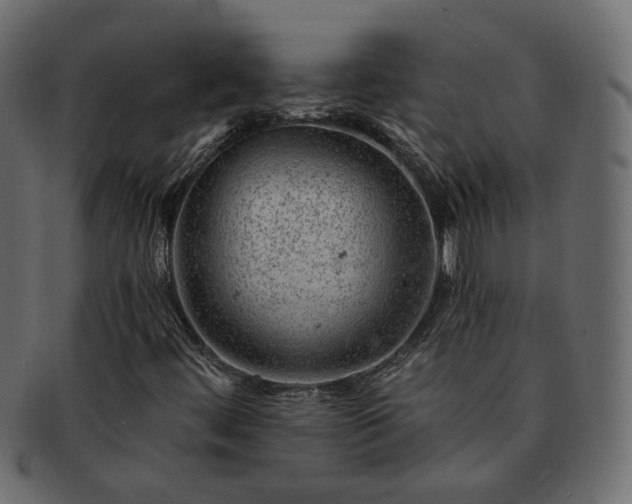 X0000093211444200710031411