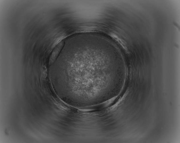 X0000093211449200710031411