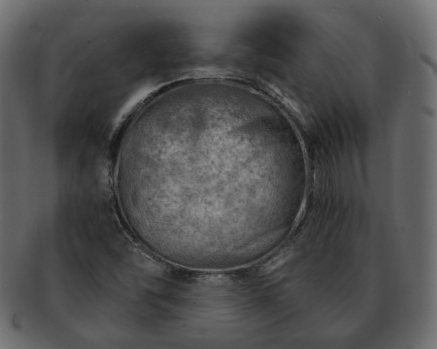 X0000093211454200710031411