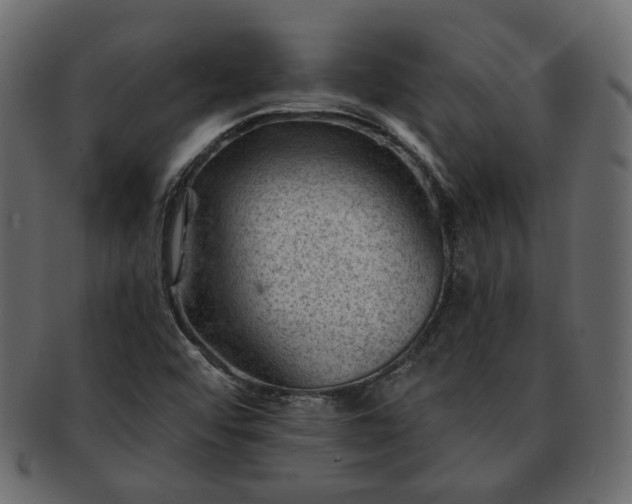 X0000093211456200710031411