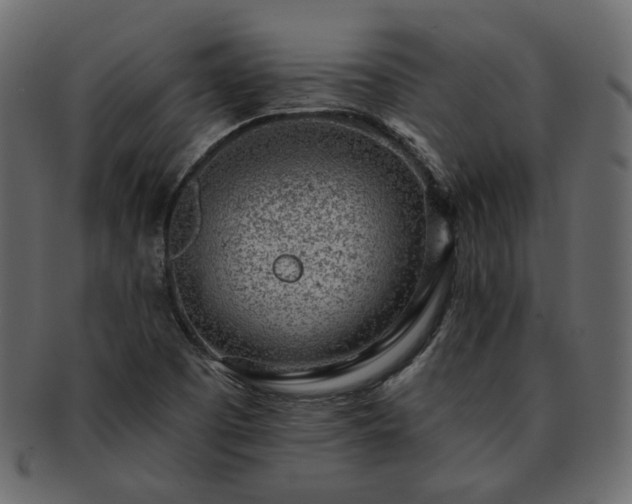 X0000093211457200710031411