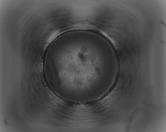 X0000093211459200710031411