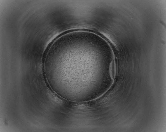 X0000093211460200710031411