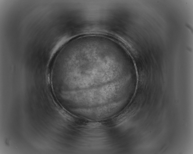 X0000093211462200710031411