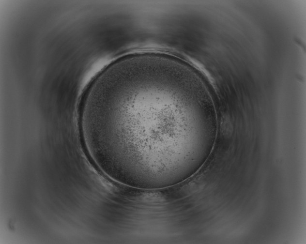 X0000093211464200710031411