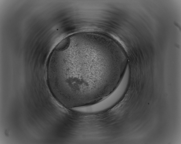 X0000093211467200710031411