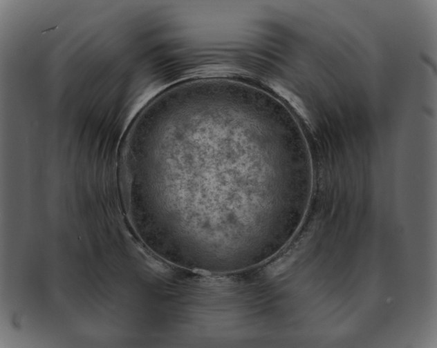 X0000093211473200710031411