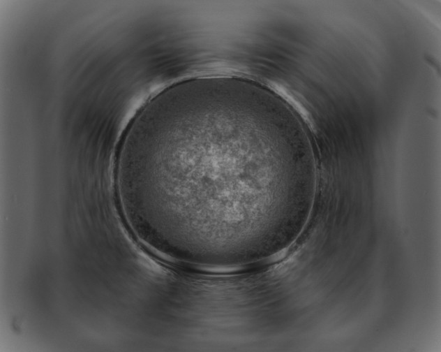 X0000093211477200710031411
