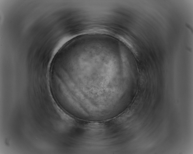 X0000093211478200710031411