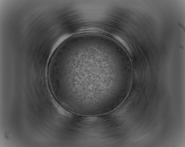 X0000093211482200710031411