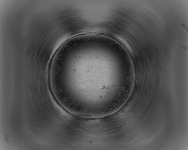 X0000093211483200710031411