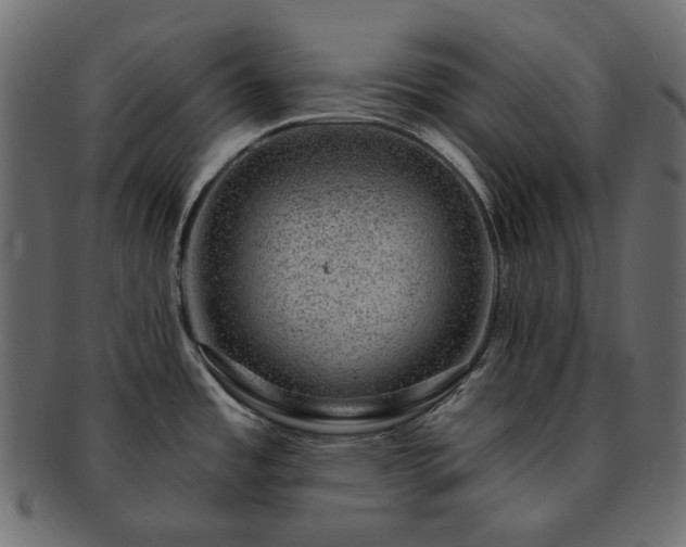 X0000093211485200710031411