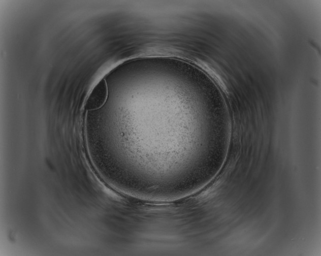 X0000093211486200710031411