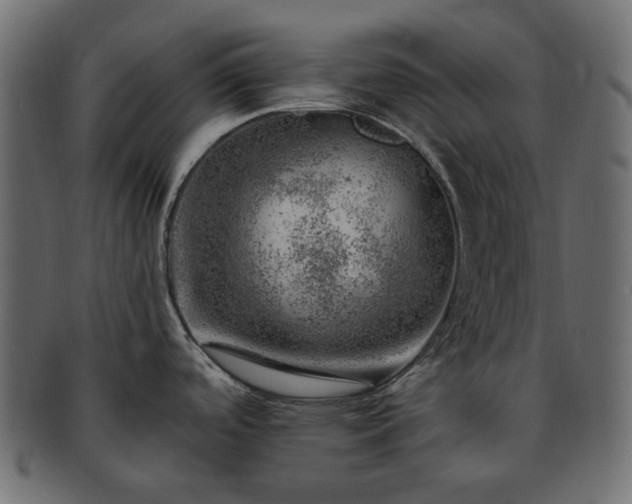 X0000093211488200710031411