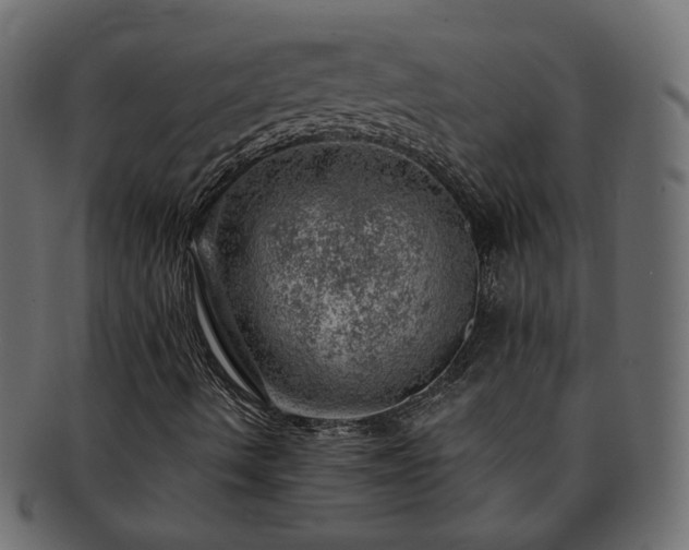 X0000093211490200710031410