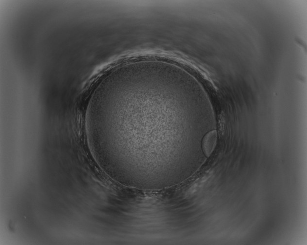 X0000093211494200710031410
