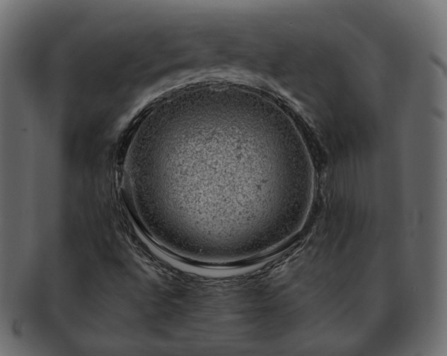 X0000093211496200710031410
