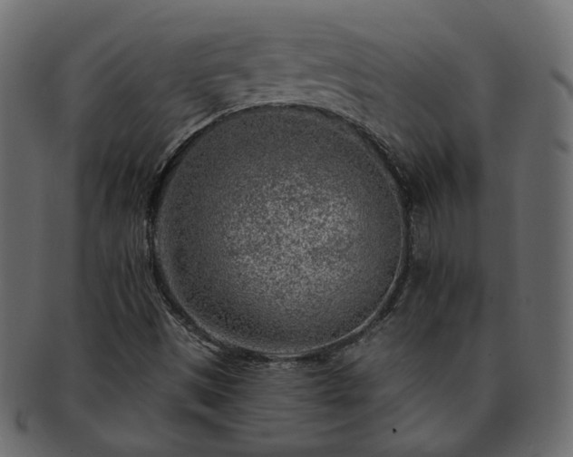 X0000093211497200710031410