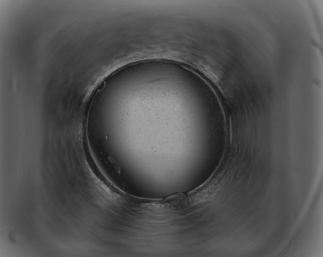 X0000093211500200710031410