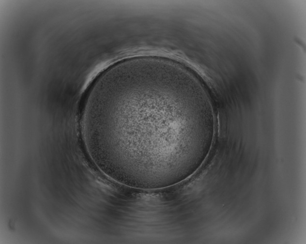 X0000093211501200710031410