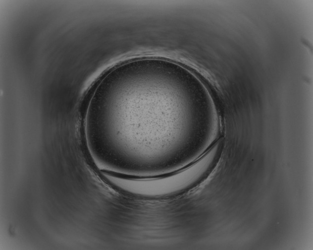 X0000093211502200710031410