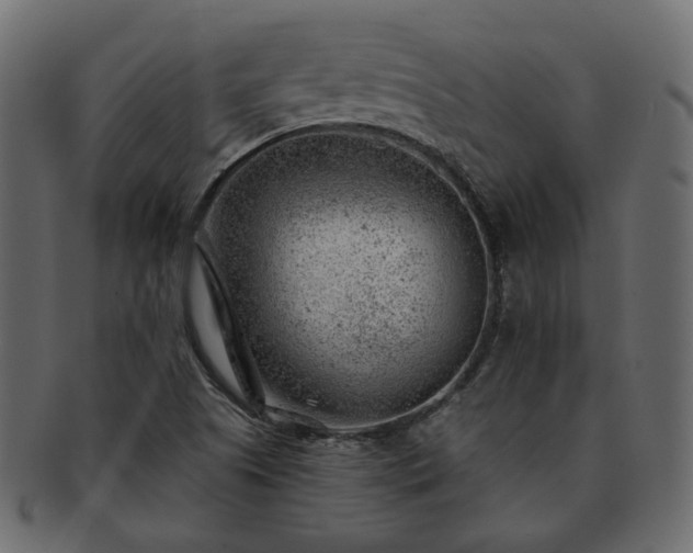 X0000093211505200710031410