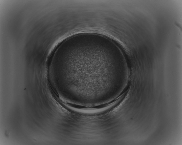 X0000093211506200710031410