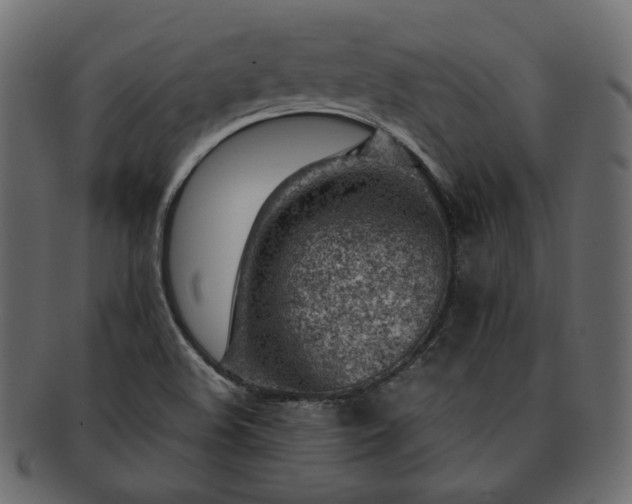 X0000093211508200710031410