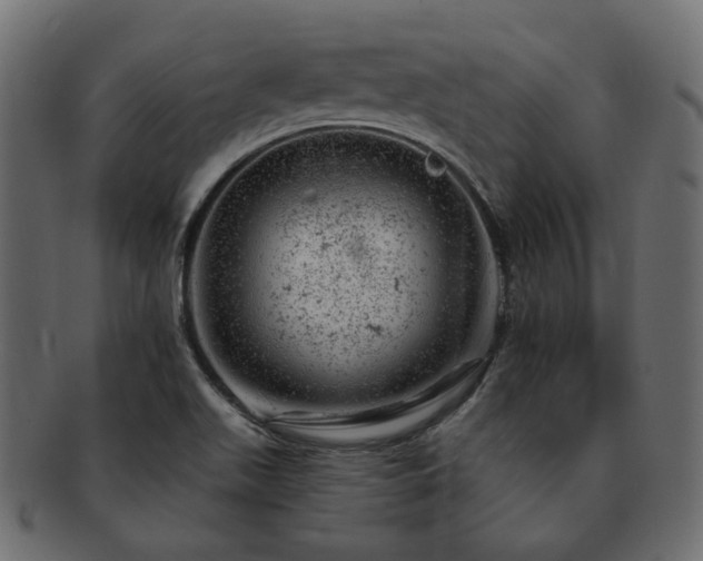 X0000093211511200710031410