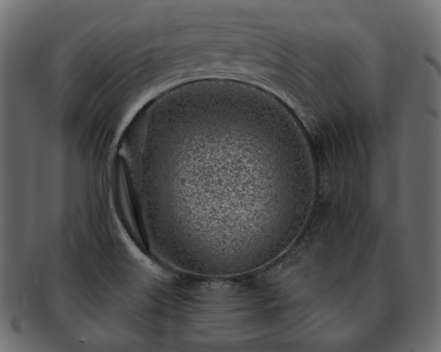 X0000093211515200710031410