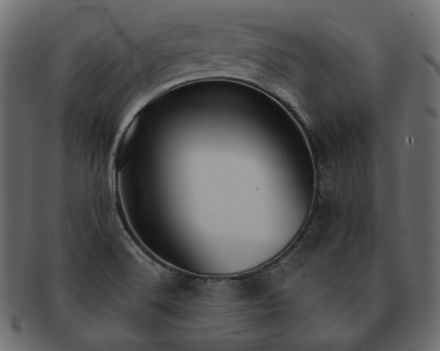 X0000093211516200710031410