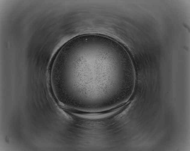 X0000093211517200710031410