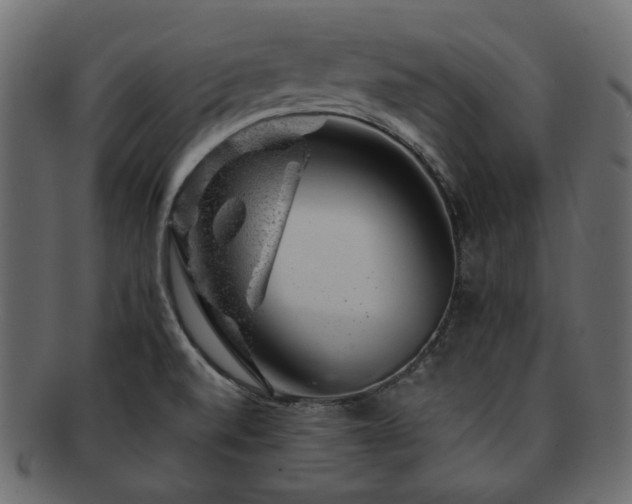 X0000093211520200710031410