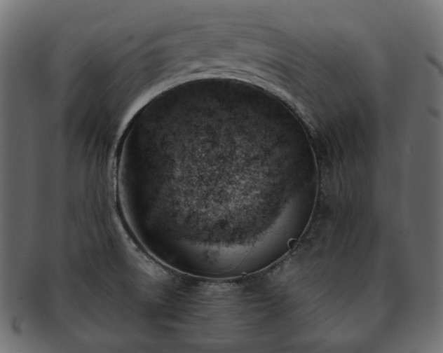 X0000093211522200710031410