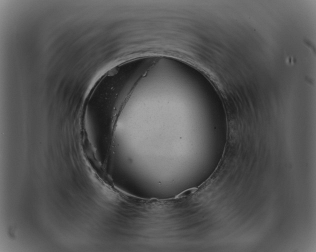 X0000093211530200710031410