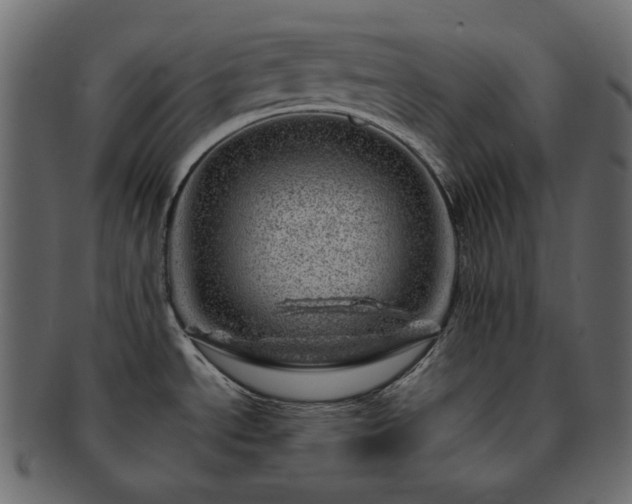 X0000093211534200710031410