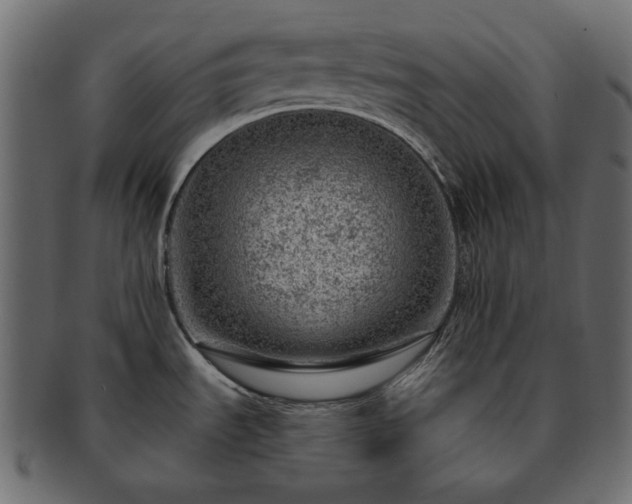 X0000093211535200710031410